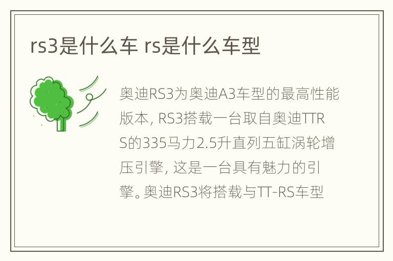 rs3是什么车 rs是什么车型