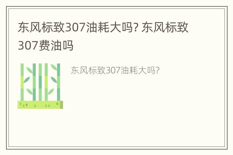 东风标致307油耗大吗? 东风标致307费油吗