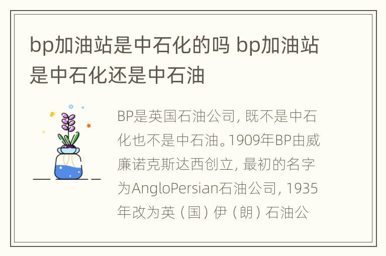 bp加油站是中石化的吗 bp加油站是中石化还是中石油