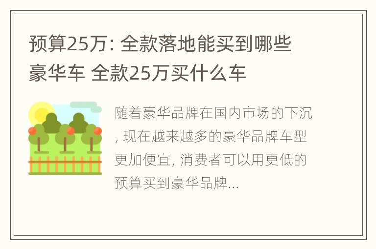 预算25万：全款落地能买到哪些豪华车 全款25万买什么车