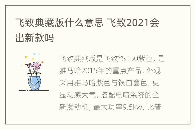 飞致典藏版什么意思 飞致2021会出新款吗