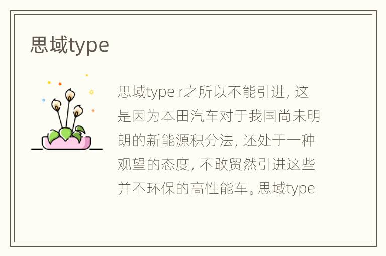 思域type