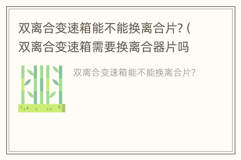 双离合变速箱能不能换离合片?（双离合变速箱需要换离合器片吗）