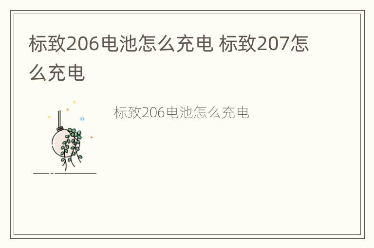 标致206电池怎么充电 标致207怎么充电