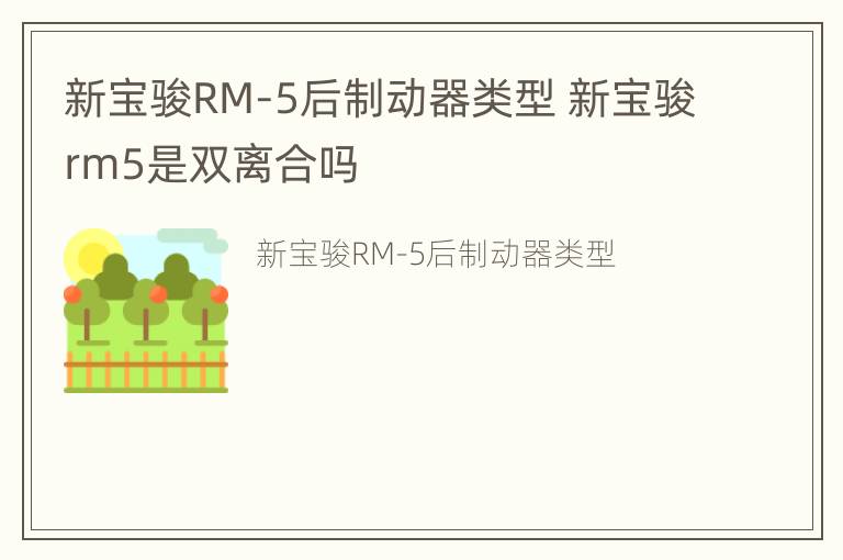 新宝骏RM-5后制动器类型 新宝骏rm5是双离合吗