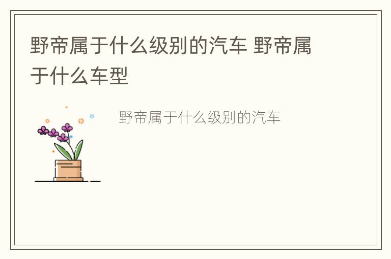 野帝属于什么级别的汽车 野帝属于什么车型