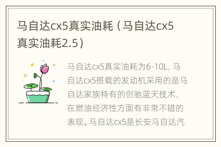 马自达cx5真实油耗（马自达cx5真实油耗2.5）