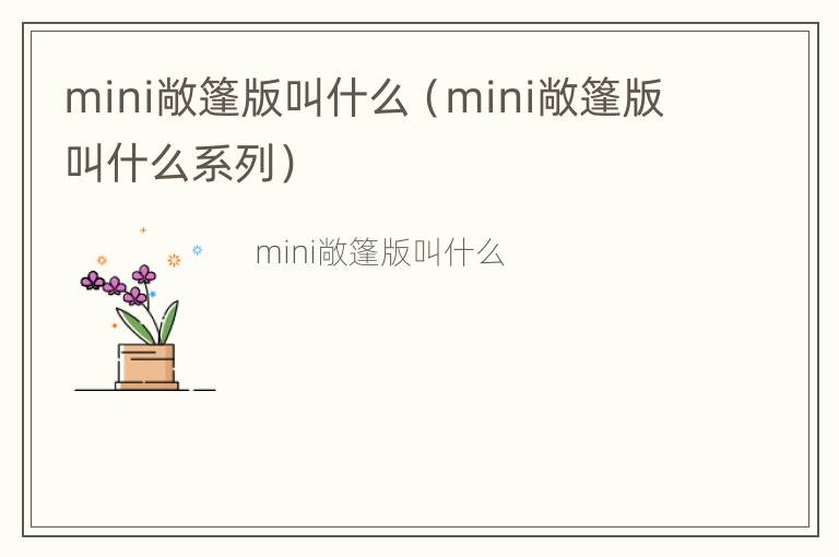 mini敞篷版叫什么（mini敞篷版叫什么系列）