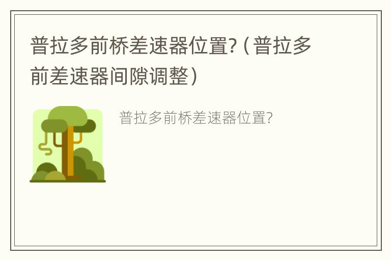 普拉多前桥差速器位置?（普拉多前差速器间隙调整）