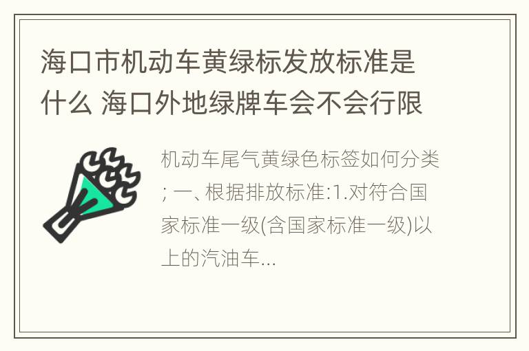 海口市机动车黄绿标发放标准是什么 海口外地绿牌车会不会行限行