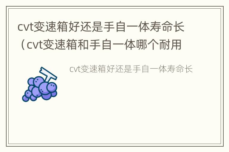 cvt变速箱好还是手自一体寿命长（cvt变速箱和手自一体哪个耐用）