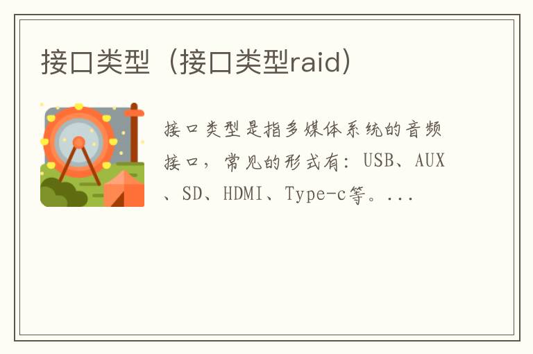 接口类型（接口类型raid）