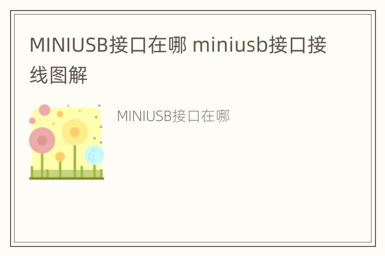 MINIUSB接口在哪 miniusb接口接线图解