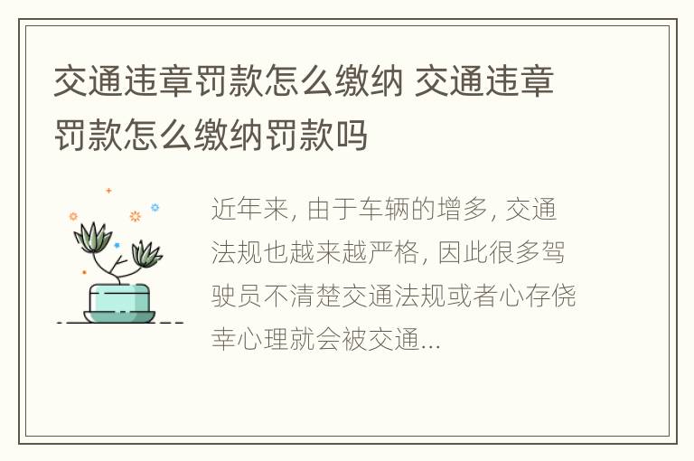 交通违章罚款怎么缴纳 交通违章罚款怎么缴纳罚款吗