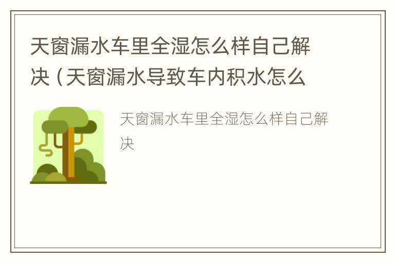 天窗漏水车里全湿怎么样自己解决（天窗漏水导致车内积水怎么处理）