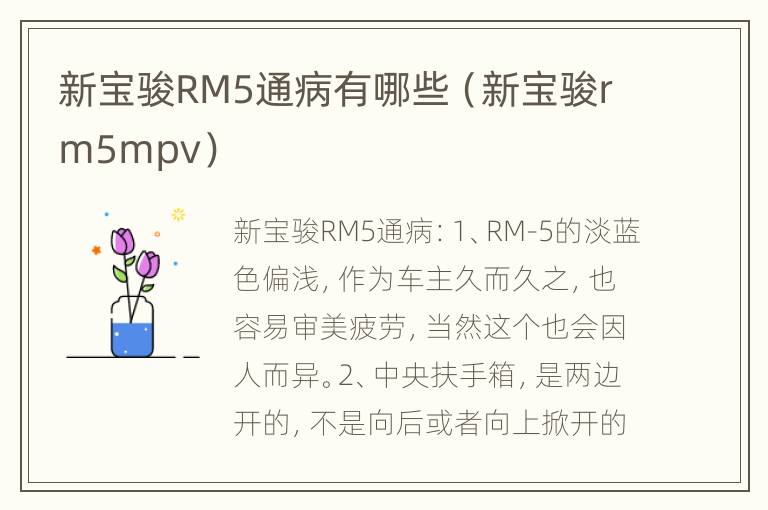 新宝骏RM5通病有哪些（新宝骏rm5mpv）