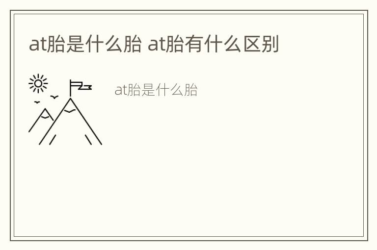 at胎是什么胎 at胎有什么区别