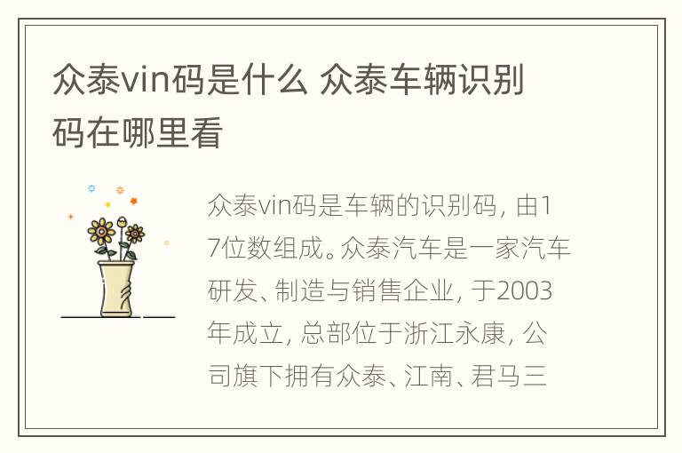 众泰vin码是什么 众泰车辆识别码在哪里看