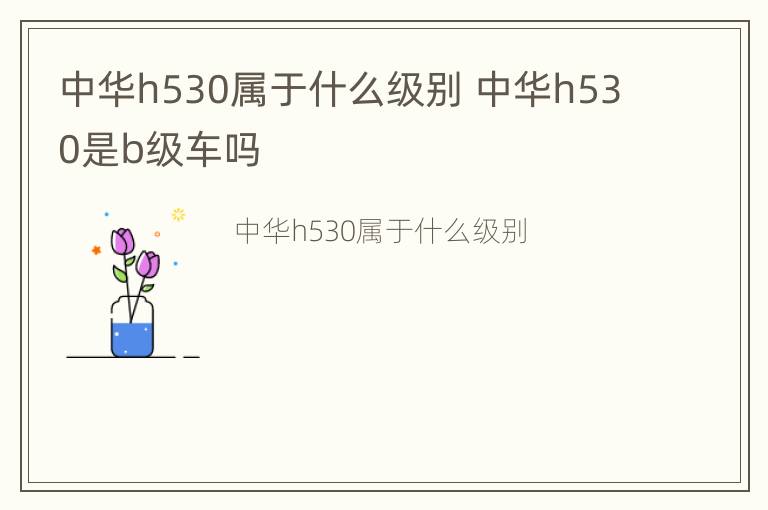 中华h530属于什么级别 中华h530是b级车吗