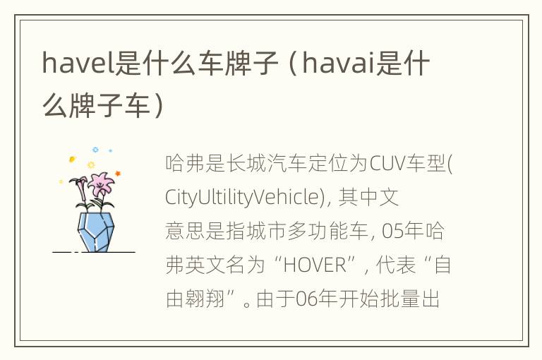 havel是什么车牌子（havai是什么牌子车）