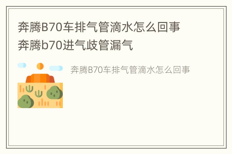 奔腾B70车排气管滴水怎么回事 奔腾b70进气歧管漏气