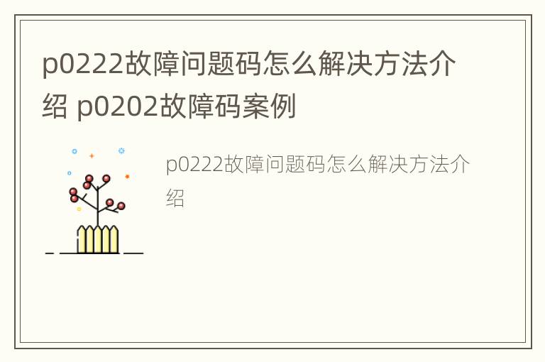 p0222故障问题码怎么解决方法介绍 p0202故障码案例