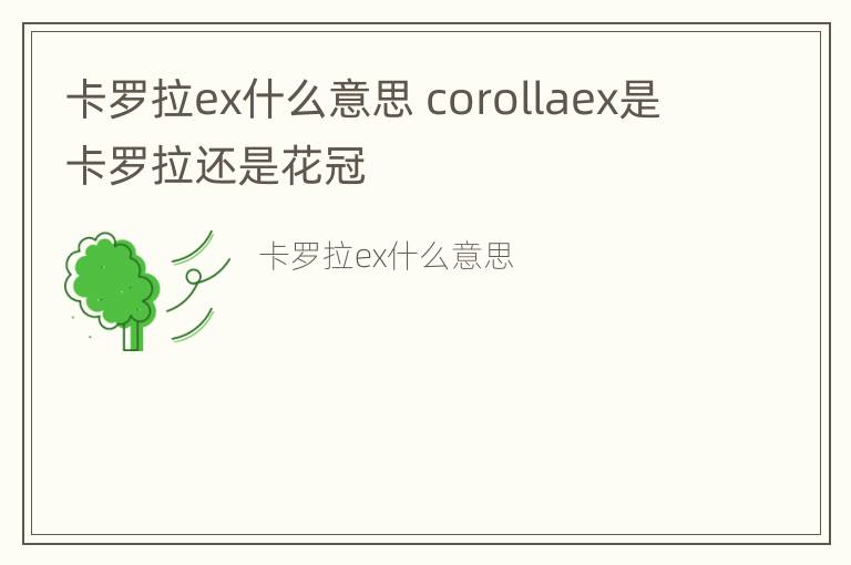 卡罗拉ex什么意思 corollaex是卡罗拉还是花冠