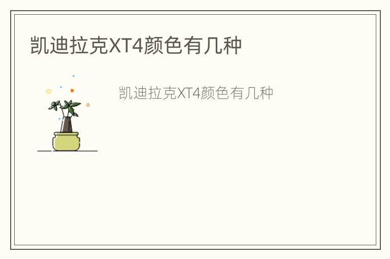 凯迪拉克XT4颜色有几种