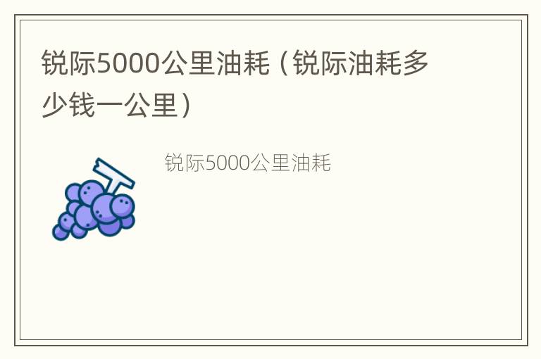 锐际5000公里油耗（锐际油耗多少钱一公里）