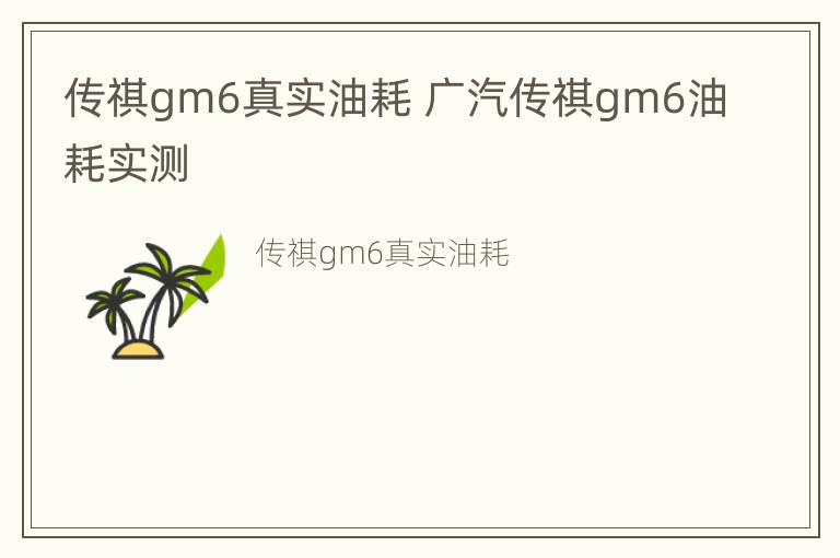 传祺gm6真实油耗 广汽传祺gm6油耗实测