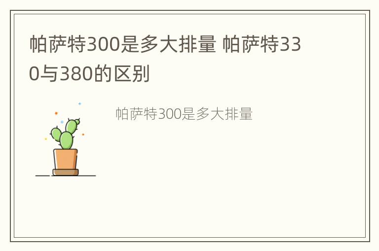 帕萨特300是多大排量 帕萨特330与380的区别