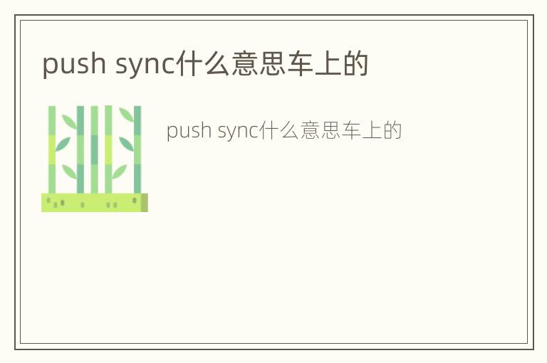 push sync什么意思车上的