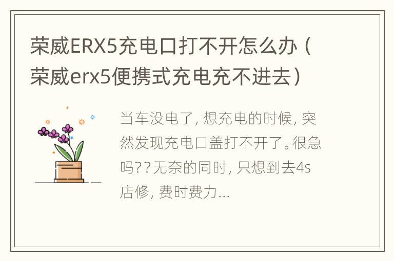 荣威ERX5充电口打不开怎么办（荣威erx5便携式充电充不进去）