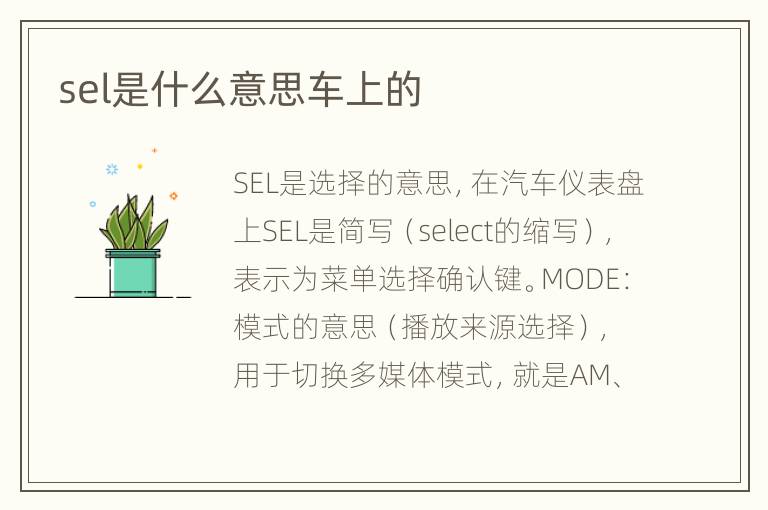 sel是什么意思车上的