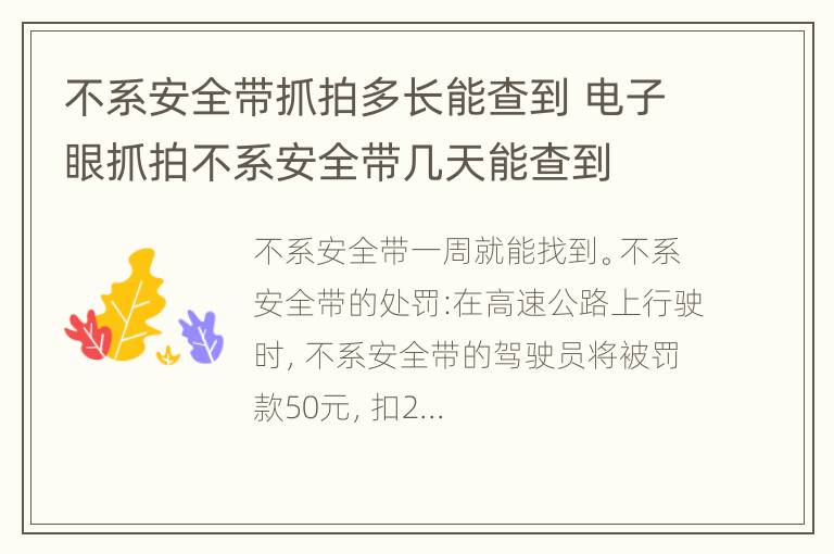 不系安全带抓拍多长能查到 电子眼抓拍不系安全带几天能查到