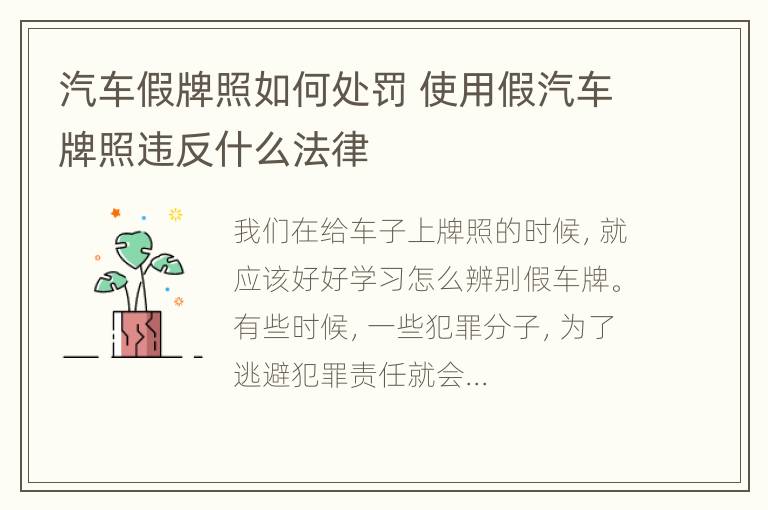 汽车假牌照如何处罚 使用假汽车牌照违反什么法律