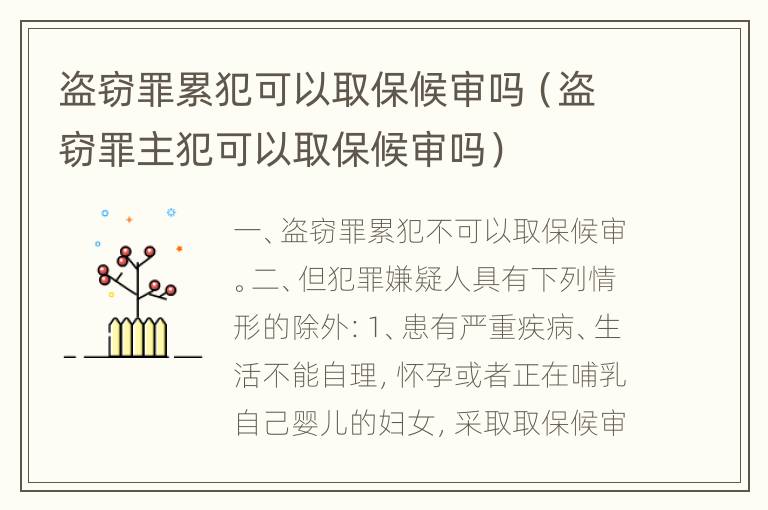 盗窃罪累犯可以取保候审吗（盗窃罪主犯可以取保候审吗）