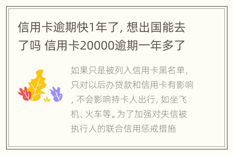 信用卡逾期快1年了，想出国能去了吗 信用卡20000逾期一年多了,还可以坐飞机吗?