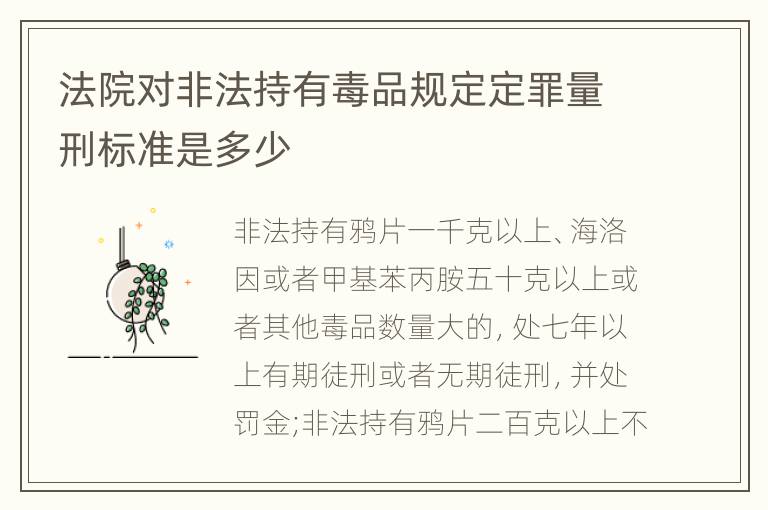 法院对非法持有毒品规定定罪量刑标准是多少