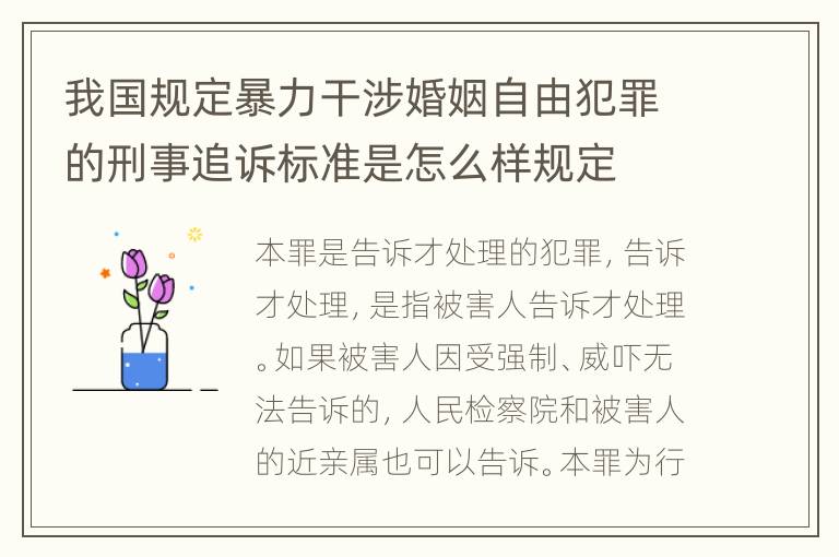 我国规定暴力干涉婚姻自由犯罪的刑事追诉标准是怎么样规定