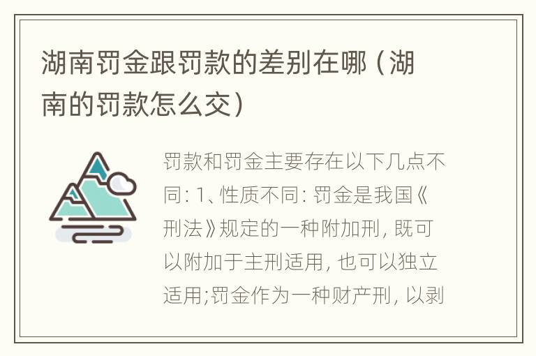 湖南罚金跟罚款的差别在哪（湖南的罚款怎么交）