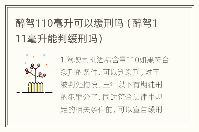 醉驾110毫升可以缓刑吗（醉驾111毫升能判缓刑吗）