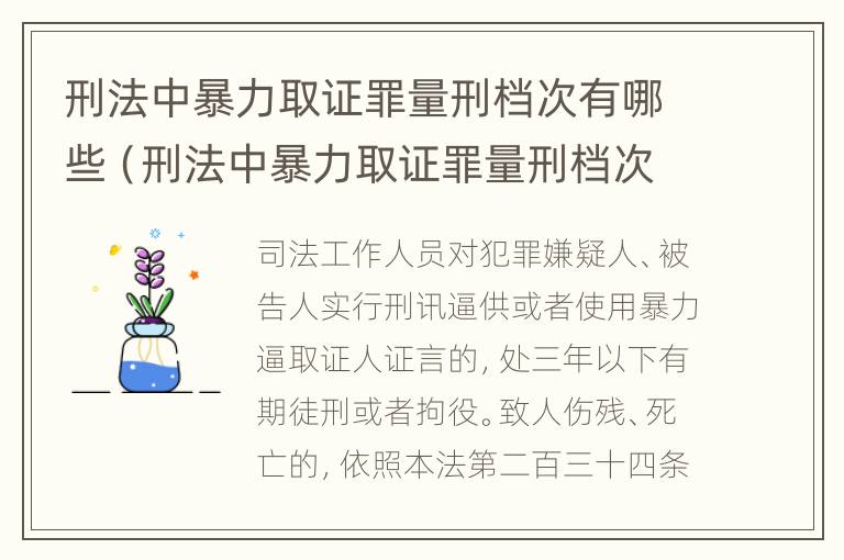 刑法中暴力取证罪量刑档次有哪些（刑法中暴力取证罪量刑档次有哪些标准）