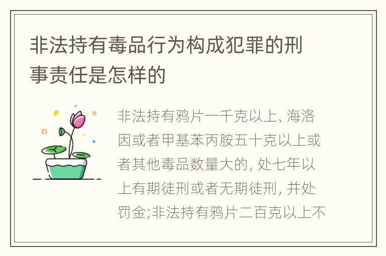 非法持有毒品行为构成犯罪的刑事责任是怎样的