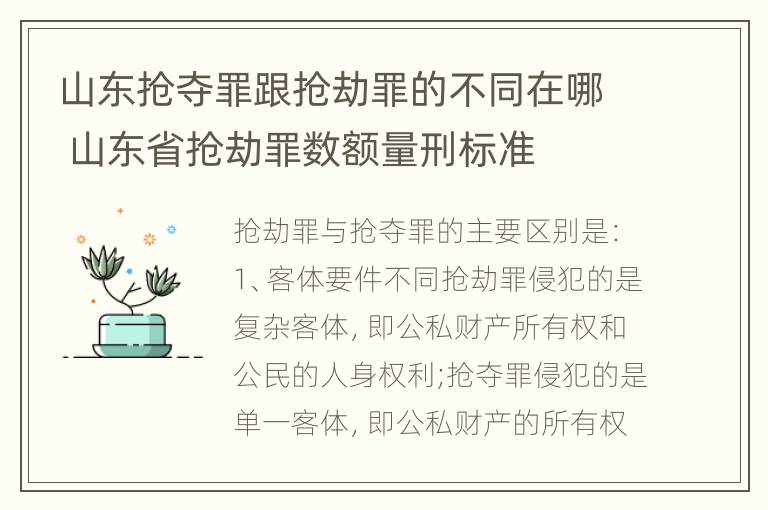 山东抢夺罪跟抢劫罪的不同在哪 山东省抢劫罪数额量刑标准