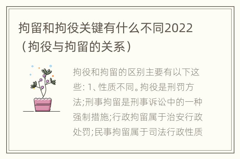 拘留和拘役关键有什么不同2022（拘役与拘留的关系）