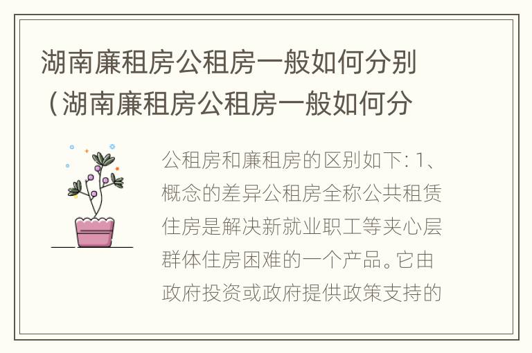 湖南廉租房公租房一般如何分别（湖南廉租房公租房一般如何分别申请的）