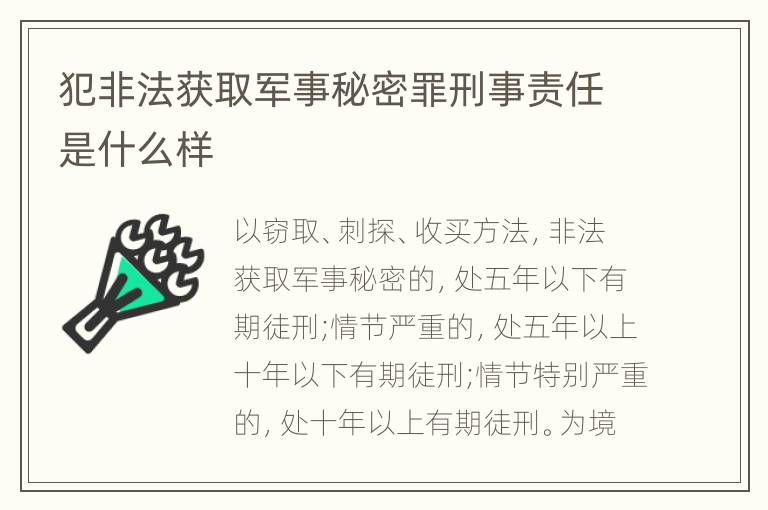 犯非法获取军事秘密罪刑事责任是什么样