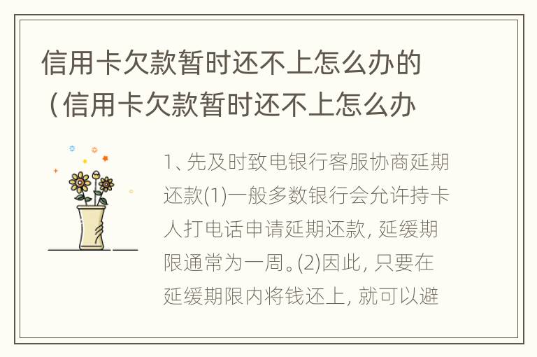 信用卡欠款暂时还不上怎么办的（信用卡欠款暂时还不上怎么办的短信）