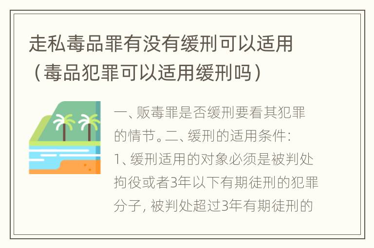 走私毒品罪有没有缓刑可以适用（毒品犯罪可以适用缓刑吗）